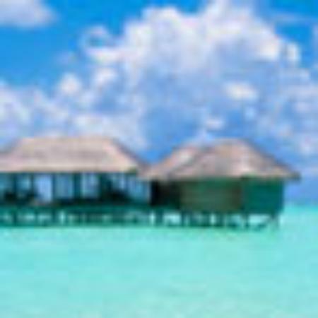 Blue Heaven Restaurant